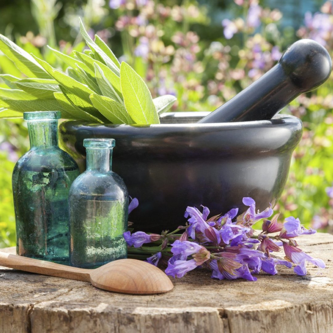 Medicinal Herbs and Products