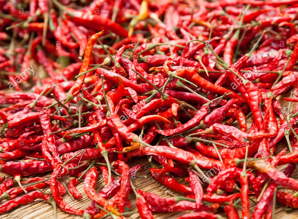 Birdseye Chili Peppers