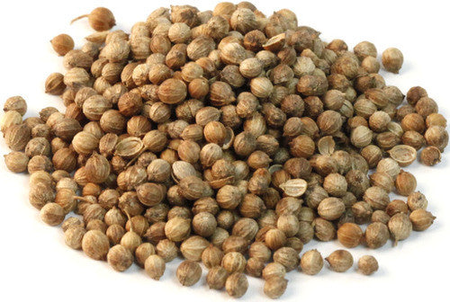 Whole Coriander Seeds
