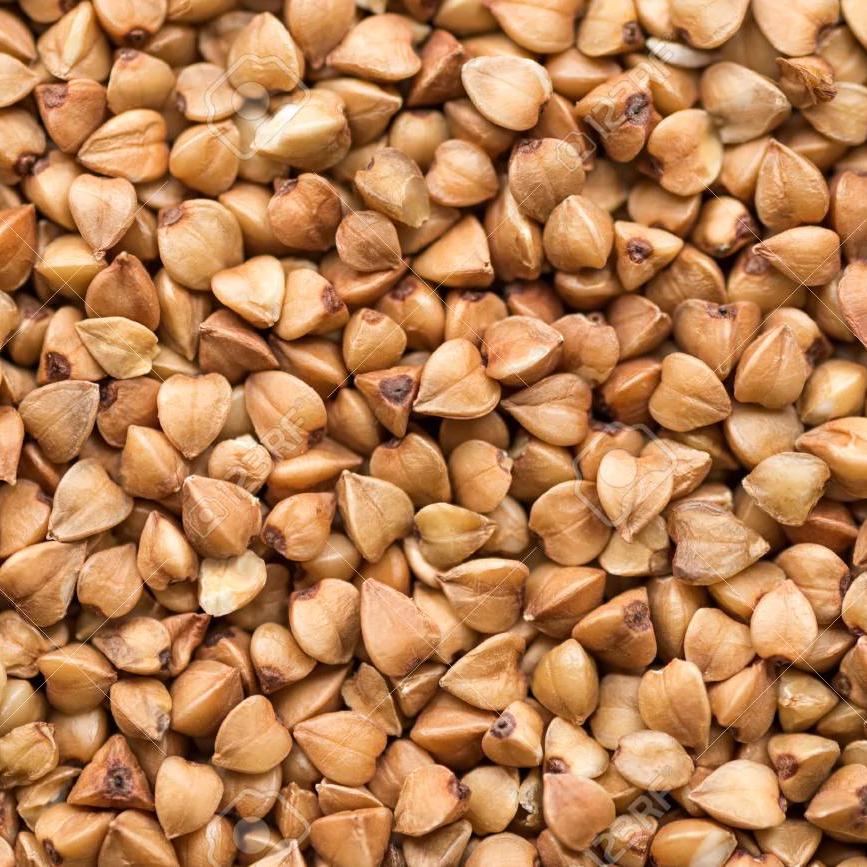 Buckwheat Grain buckwheat-grain
