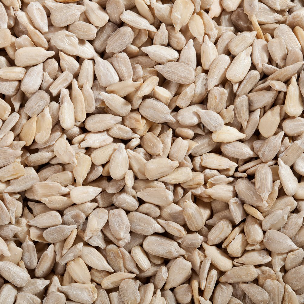 Raw Sunflower Seeds Out of the Shell – The Head Nut Raw Sunflower Seeds Out of the Shell – The Head Nut