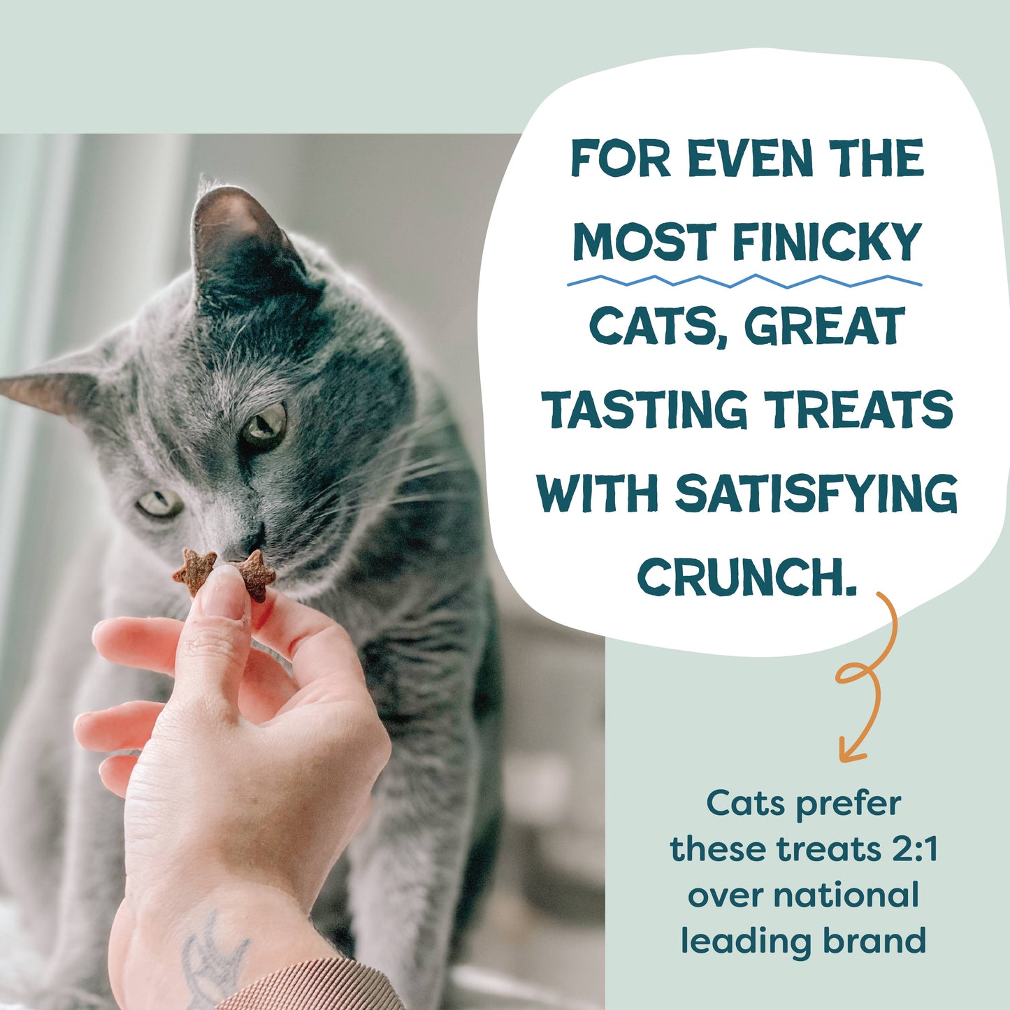 Shameless Catnip N Chill Chicken Liver 2.5oz