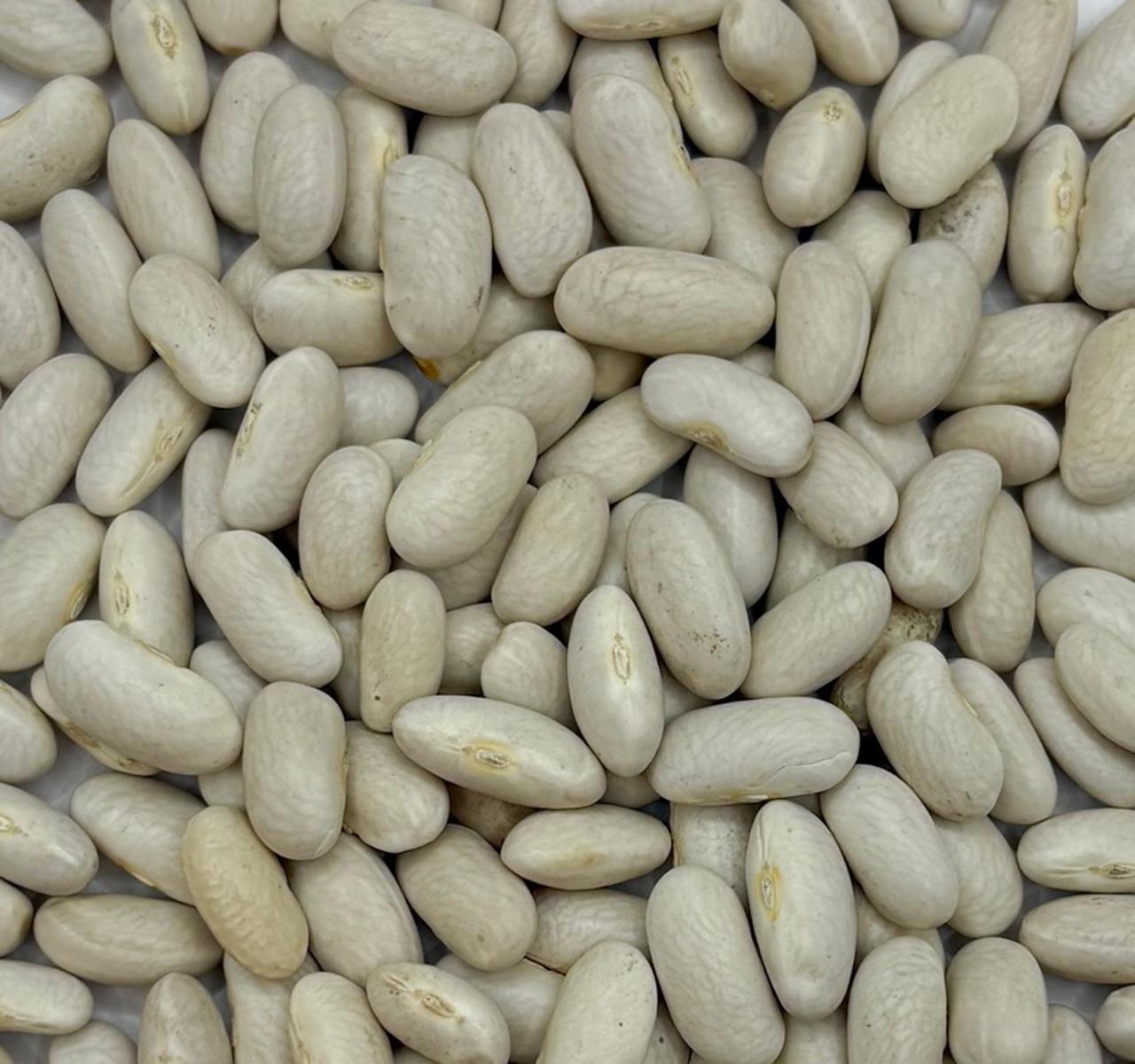 White Kidney Beans