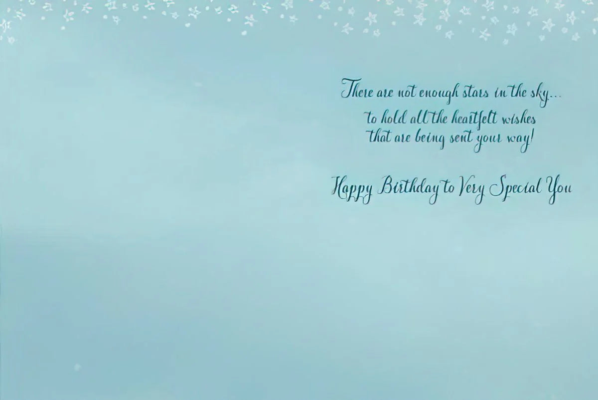 Not Enough Stars In The Sky To Hold The Wishes Sent To You! - Birthday Greeting from Leanin' Tree