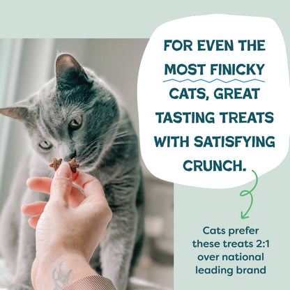 Shameless Catnip N Chill Crunchy Cat Treats - Chicken