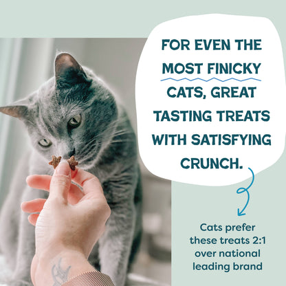 Shameless Catnip N Chill Crunchy Cat - Tuna