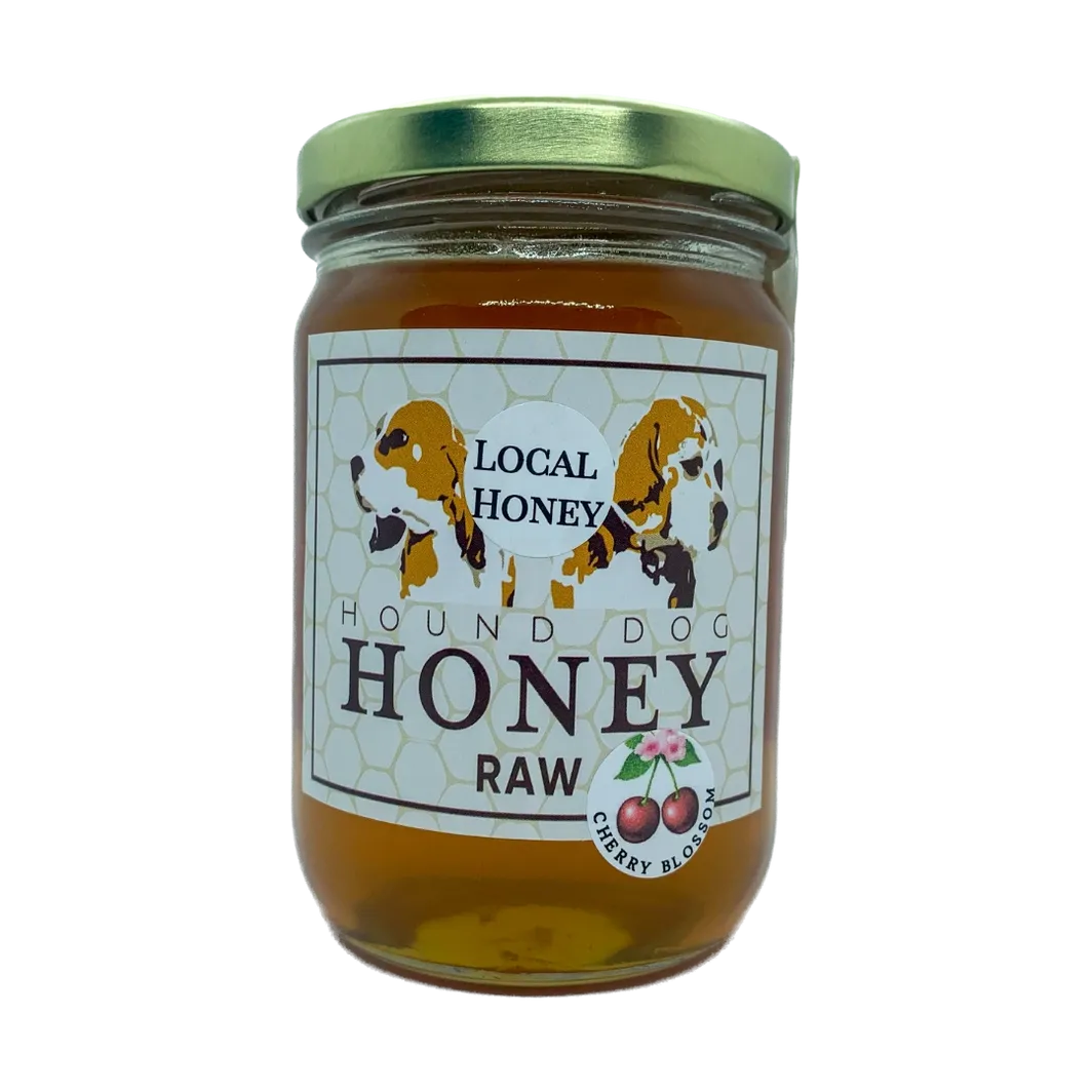 Hound Dog Cherry Blossom Honey - 1 LB