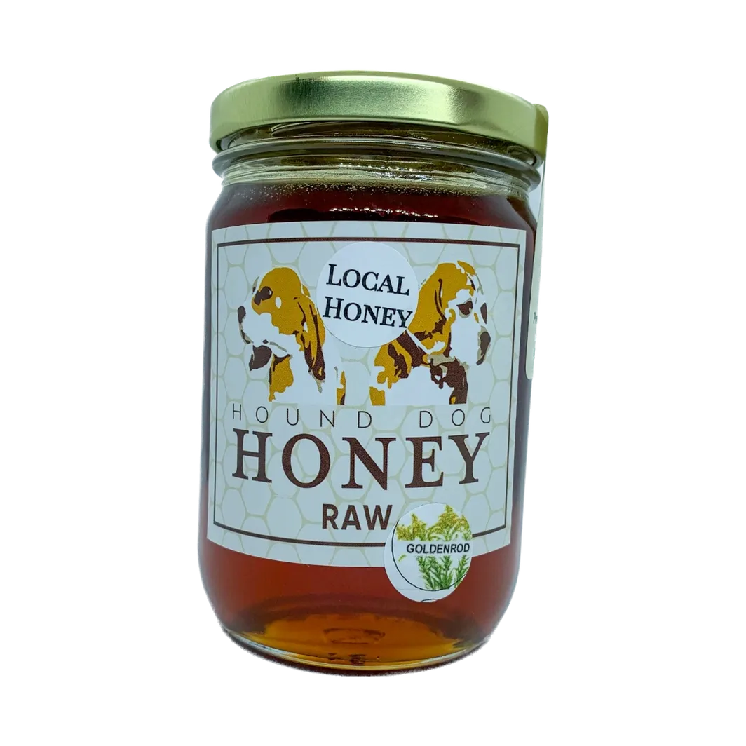 Hound Dog Goldenrod Raw Local Honey 1lb Jar