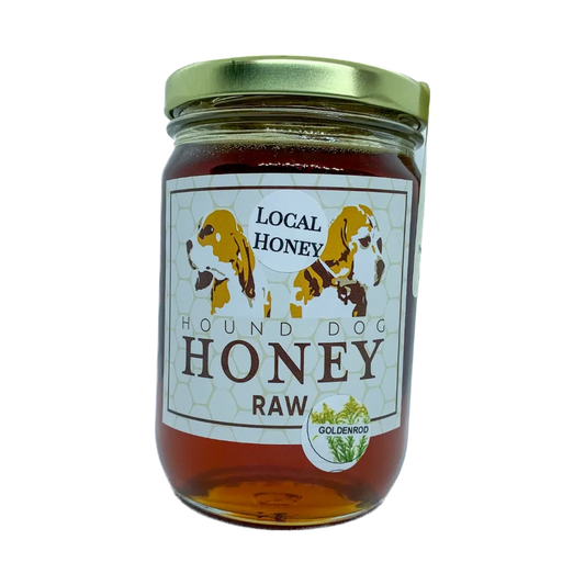 Hound Dog Goldenrod Raw Local Honey 1lb Jar