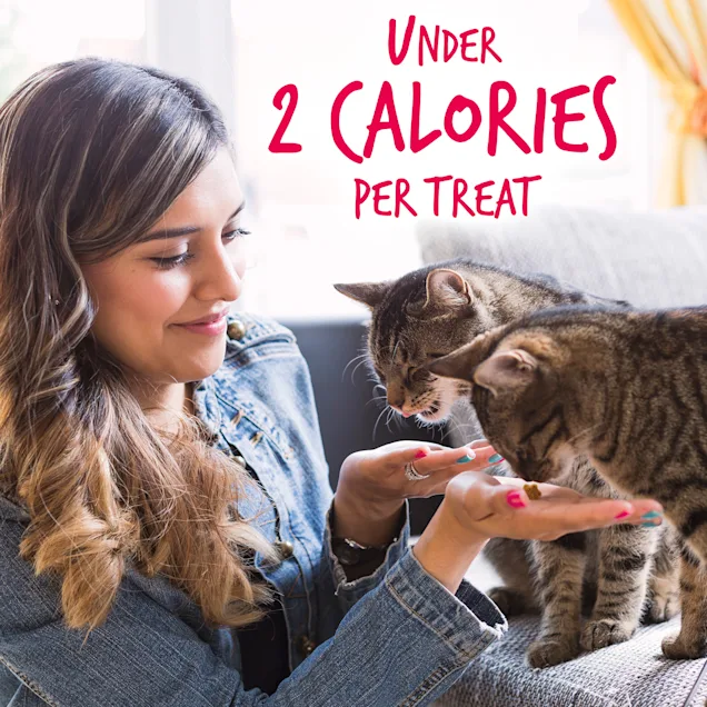 Fruitables Salmon and Cranberry Deliciously Healthy Cat Treats