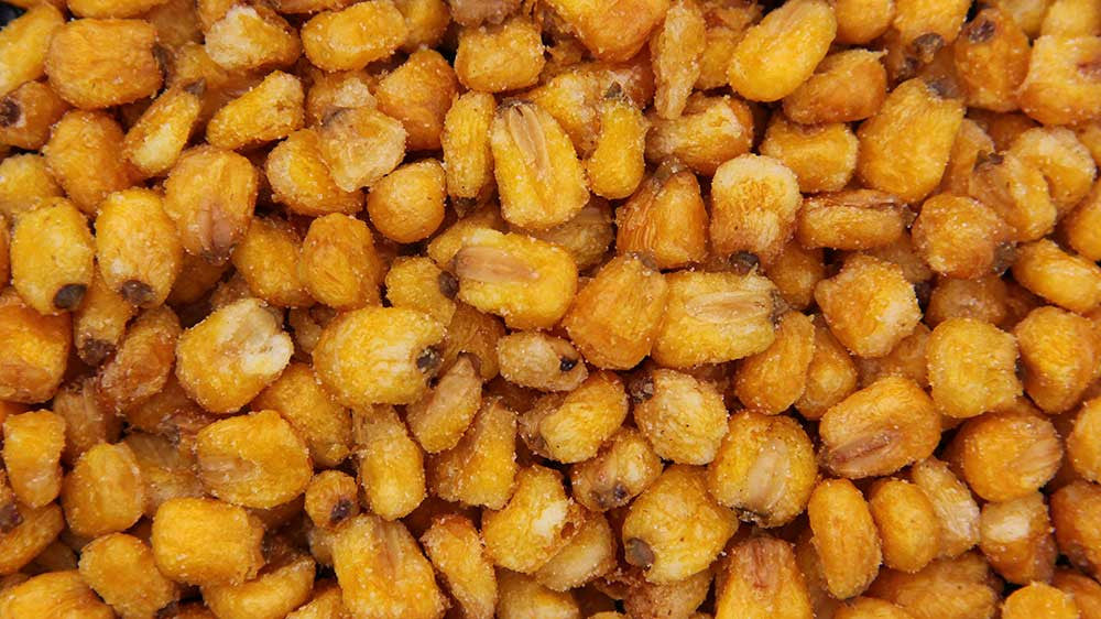 Roasted Corn Nuts Salted