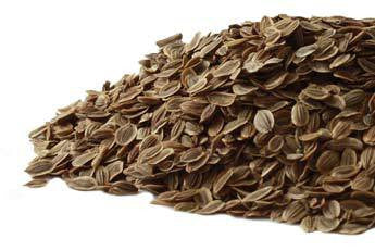 Dill Seeds