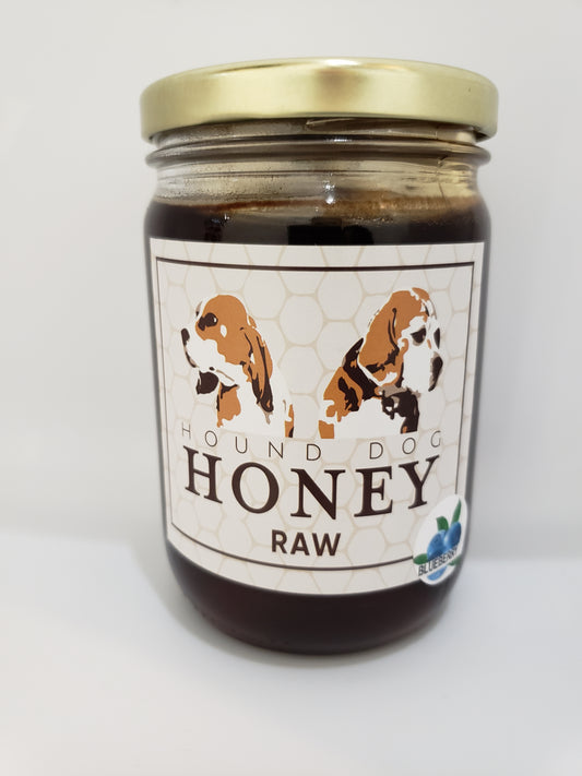 1 Pound Raw Blueberry Honey
