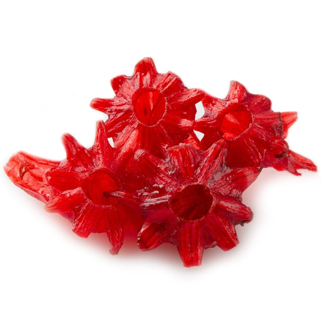 Dried Hibiscus Fruit