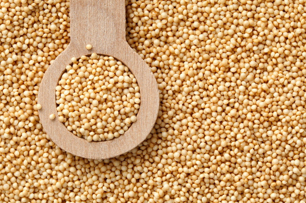 Organic  Amaranth