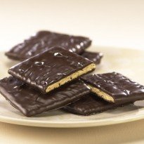 Asher's Dark Chocolate Covered Graham Crackers