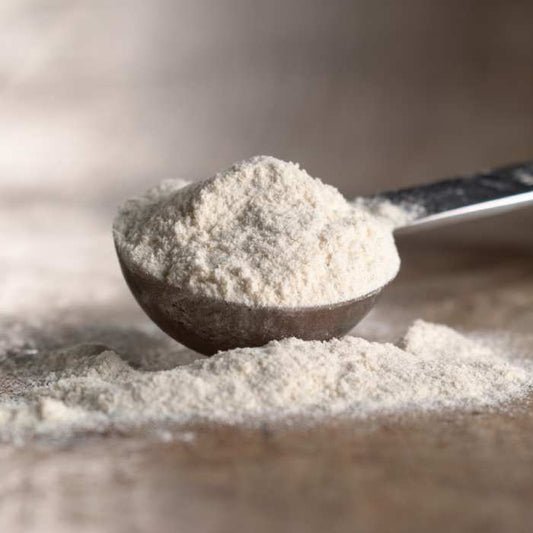 Diastatic Malt Powder