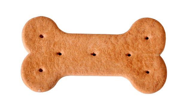 Big Dog Bone Biscuits