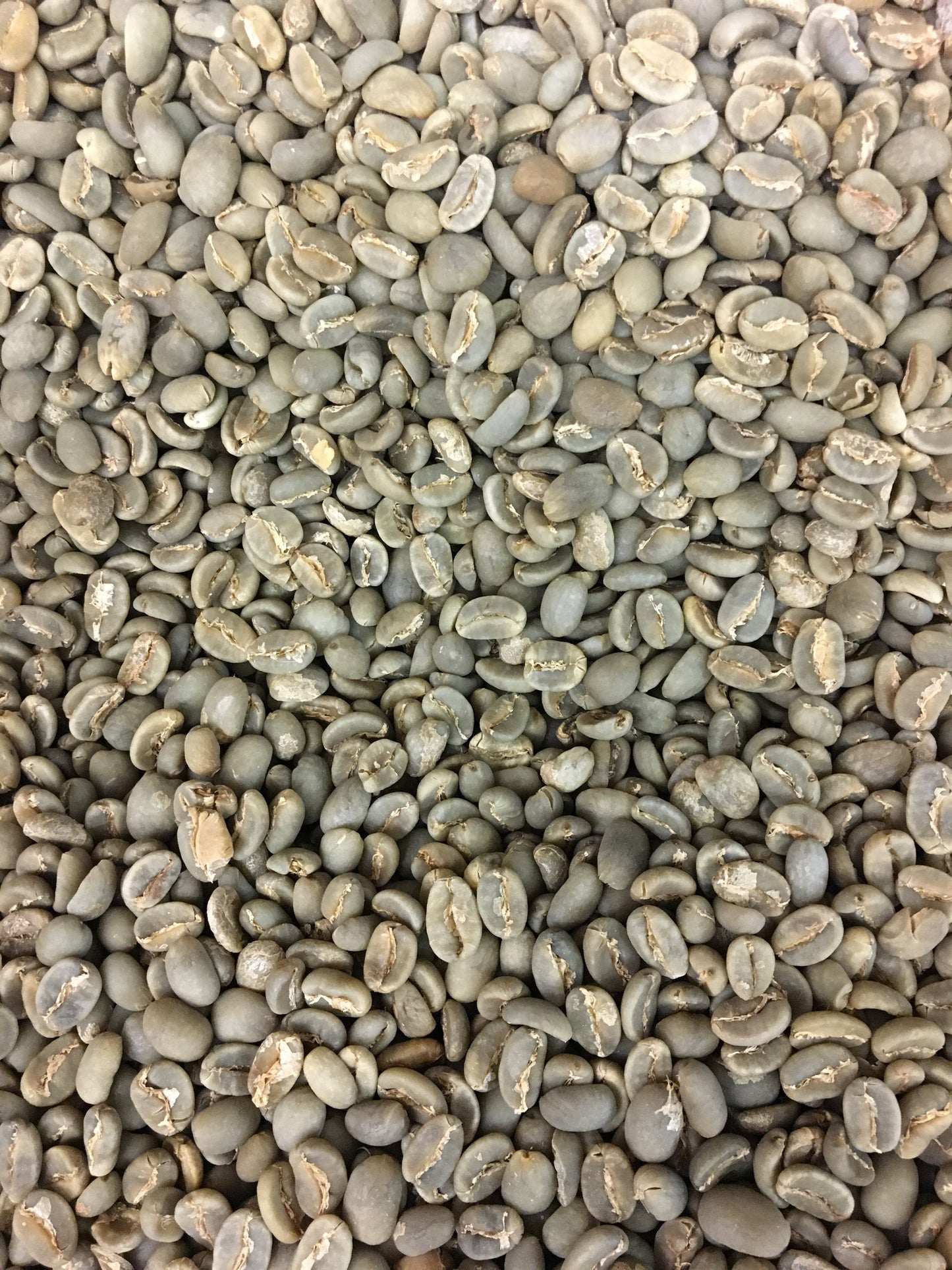 Roast-Your-Own Green Colombian Coffee Beans