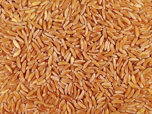 Organic Whole Grain Kamut