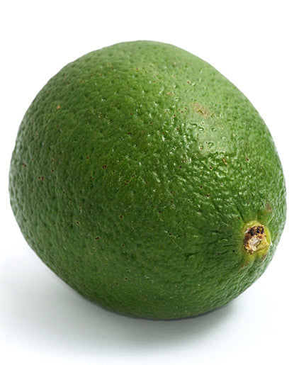 Bickford Lime Flavor