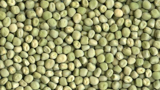 Marrowfat Beans