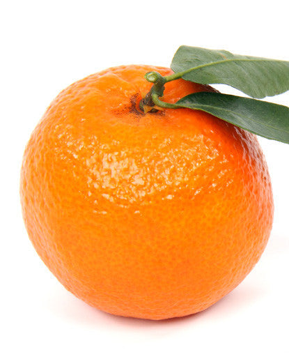 Bickford Orange Flavor