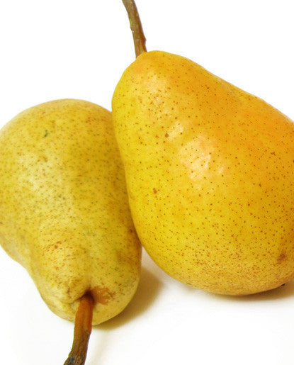 Bickford Pear Flavor