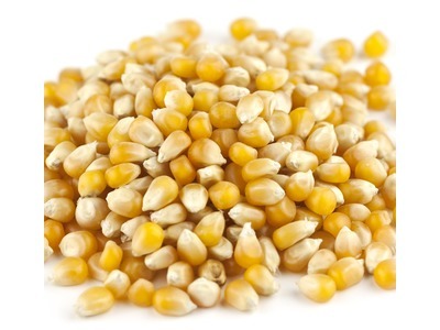 Yellow Popcorn Kernels